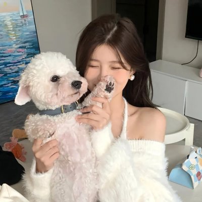 师父又掉线了